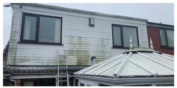 Cladding and conservatory roof green with algae before cleaning