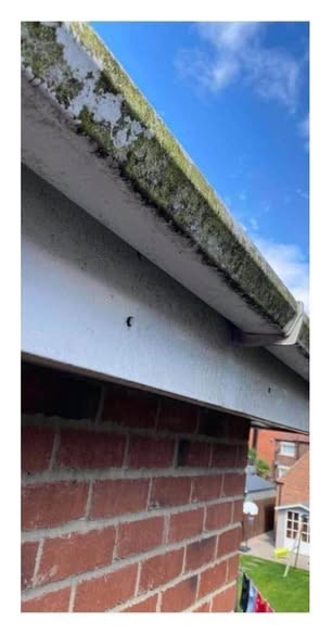 Gutter and fascia covered in moss before cleaning in Walsall